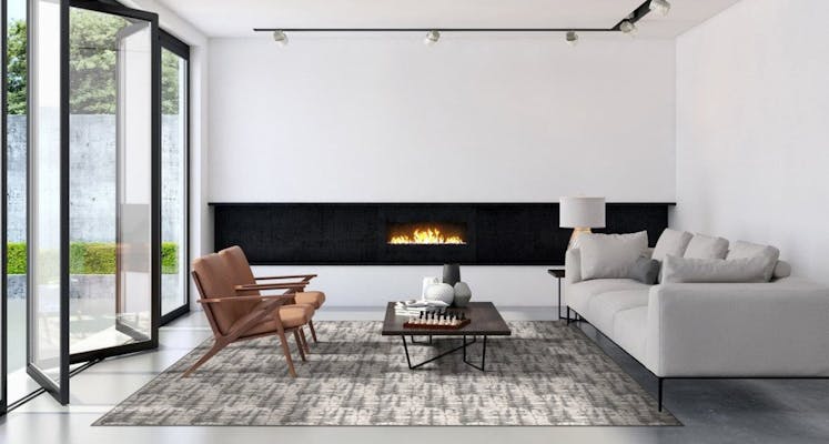 Area rug in modern den