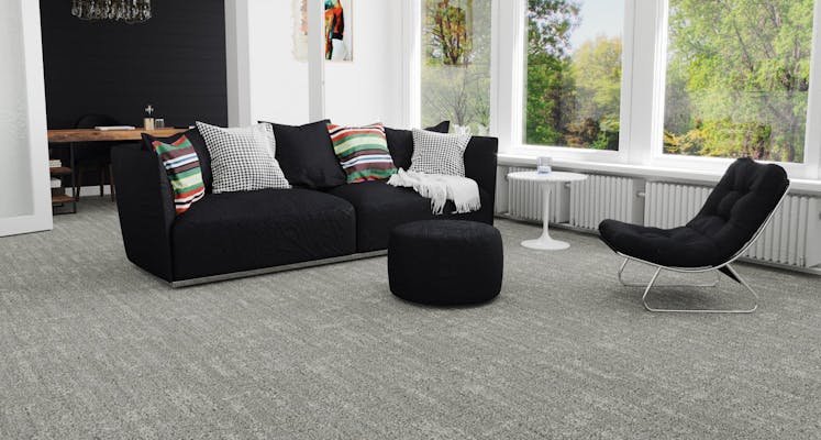 Gray carpet in modern living room