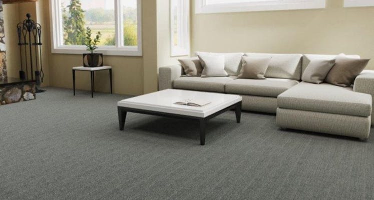 Carpet in modern living room